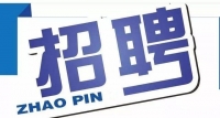 岱岳區(qū)政務(wù)服務(wù)中心招人啦！大專以上學(xué)歷，即日起報(bào)名